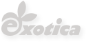 exotica-logo